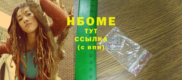 прущие грибы Баксан