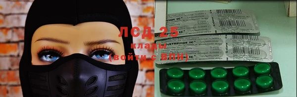 прущие грибы Баксан