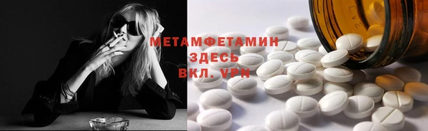 прущие грибы Баксан