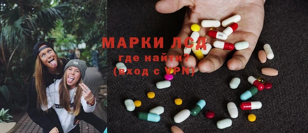 прущие грибы Баксан